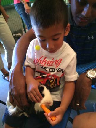 Can we bring the rabbit home? :)