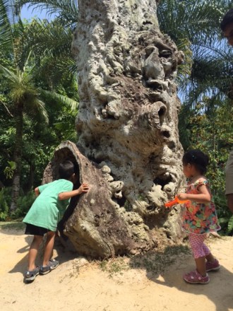 Literally a tree house...